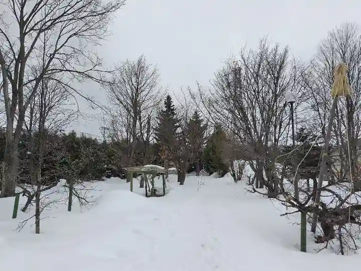 美瑛神社の自然