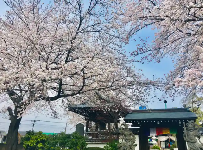 佉羅陀山地蔵院薬王寺の山門