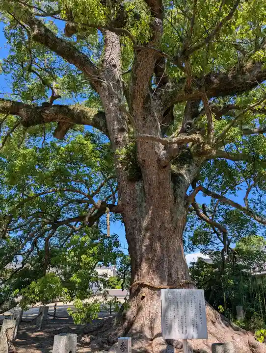 白鳥神社(香川県)
