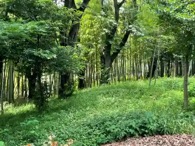 南大谷天神社の周辺