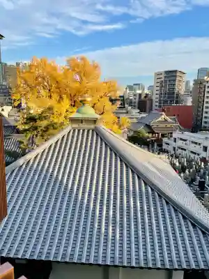 善福寺(東京都)