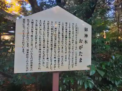 大宝八幡宮(茨城県)