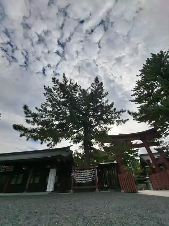 氣比神宮(福井県)