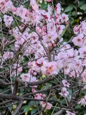 中野沼袋氷川神社(東京都)