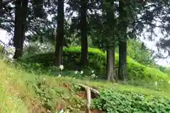 鬼渡神社の自然