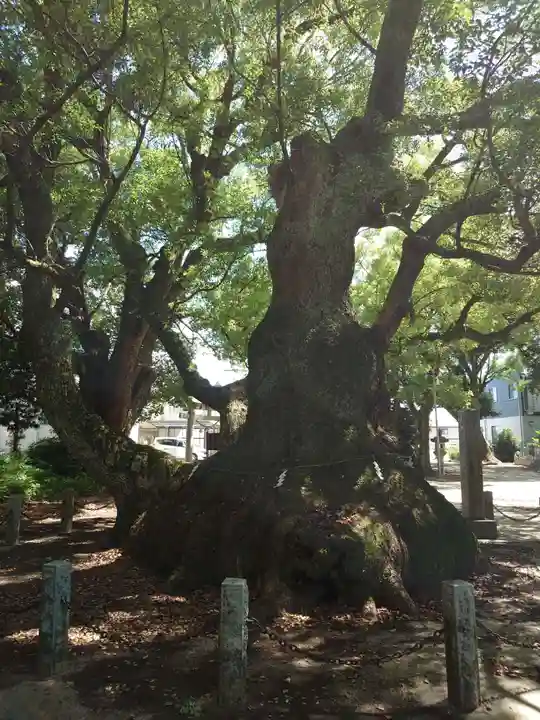 八柱神社(愛知県)