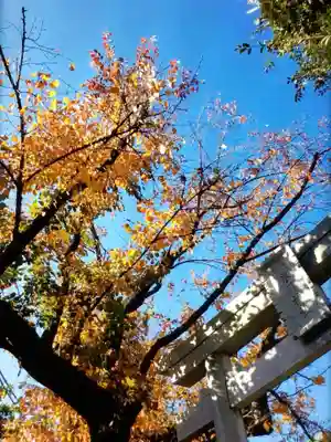 本郷氷川神社(東京都)