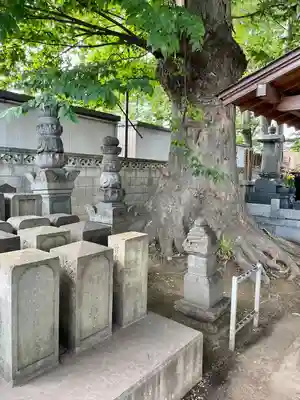 大聖院(茨城県)