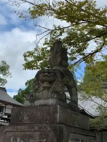 藤森神社の狛犬