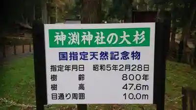 神渕神社の歴史