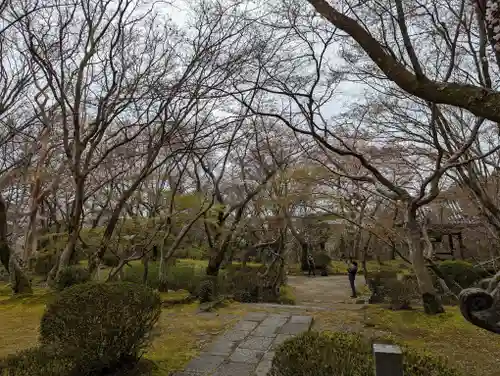 勝持寺（花の寺）(京都府)