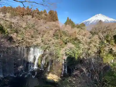 熊野神社の自然