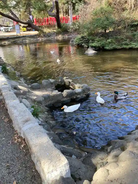 平塚八幡宮(神奈川県)