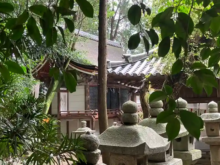 和爾下神社の本殿