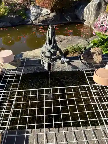 泉竜寺(乙女不動尊)(栃木県)