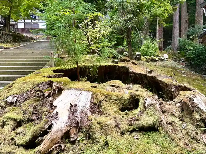 永平寺(福井県)