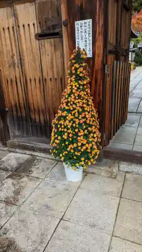 霊鑑寺門跡(京都府)