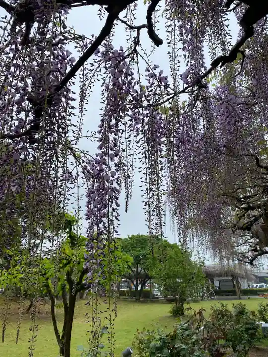 大山祇神社(愛媛県)