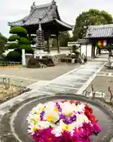 真言宗 善通寺派 薬王寺の手水舎