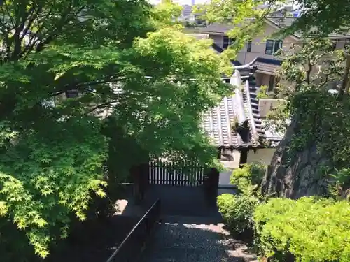 放生院常光寺の建物その他