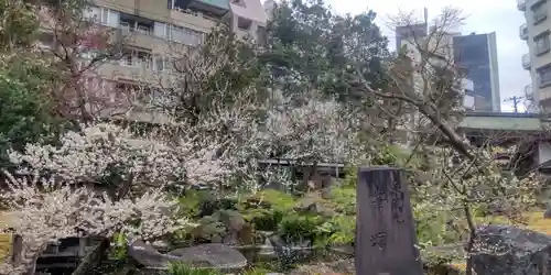 湯島天満宮(東京都)