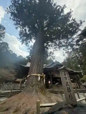 北口本宮冨士浅間神社の{uncategorized: "未分類", other: "その他", undefined: "問題あり", building: "その他建物", grave: "お墓", sacred_gate: "鳥居", guardian: "狛犬", statue: "像", buddha: "仏像", history: "歴史", nature: "自然", garden: "庭園", animal: "動物", pagoda: "塔", temizu: "手水舎", mountain_gate: "山門・神門", sanctuary: "本殿・本堂", subordinate: "末社・摂社", art: "芸術", scenery: "景色", jizo: "地蔵", ema: "絵馬", goshuin: "御朱印", omikuji: "おみくじ", items: "授与品その他", amulet: "お守り", goshuincho: "御朱印帳", eats: "食事", festival: "お祭り", votive_dance: "神楽", shichigosan: "七五三参", wedding: "結婚式", experience: "体験その他", initially: "初詣", around: "周辺", anti_infection: "感染症対策"}