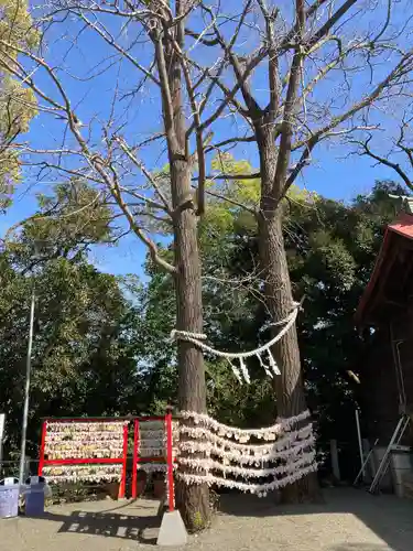 多摩川浅間神社(東京都)