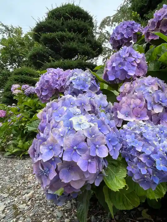 法船寺(長野県)