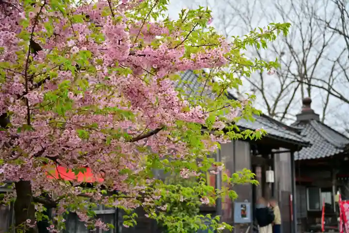 安禅寺(新潟県)