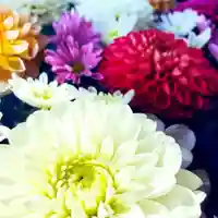 鹿島台神社の手水舎