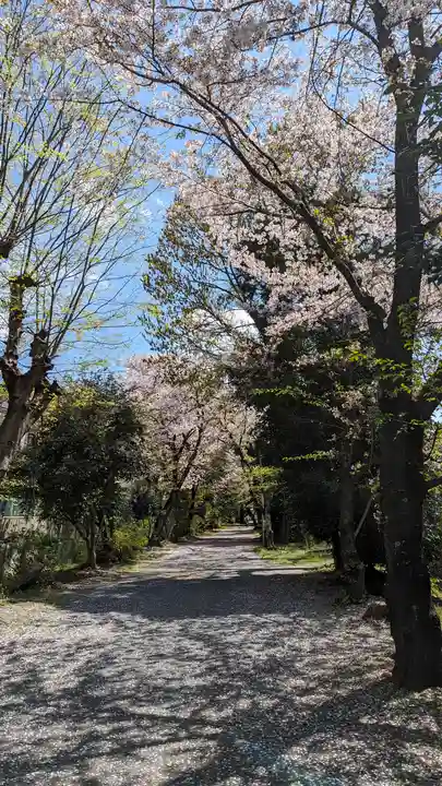 雙栗神社(京都府)