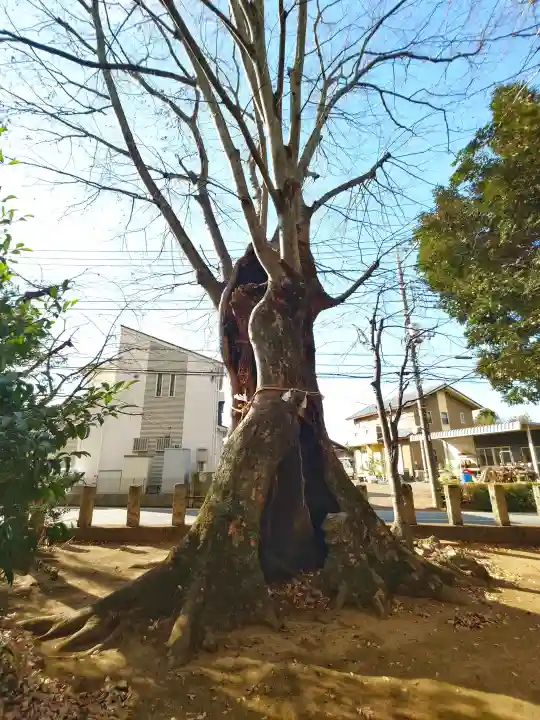 堀兼神社(浅間宮)の{uncategorized: "未分類", other: "その他", undefined: "問題あり", building: "その他建物", grave: "お墓", sacred_gate: "鳥居", guardian: "狛犬", statue: "像", buddha: "仏像", history: "歴史", nature: "自然", garden: "庭園", animal: "動物", pagoda: "塔", temizu: "手水舎", mountain_gate: "山門・神門", sanctuary: "本殿・本堂", subordinate: "末社・摂社", art: "芸術", scenery: "景色", jizo: "地蔵", ema: "絵馬", goshuin: "御朱印", omikuji: "おみくじ", items: "授与品その他", amulet: "お守り", goshuincho: "御朱印帳", eats: "食事", festival: "お祭り", votive_dance: "神楽", shichigosan: "七五三参", wedding: "結婚式", experience: "体験その他", initially: "初詣", around: "周辺", anti_infection: "感染症対策"}