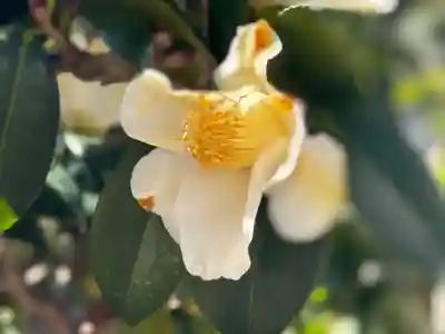 西方山極楽寺(岐阜県)