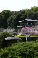 勧修寺(京都府)