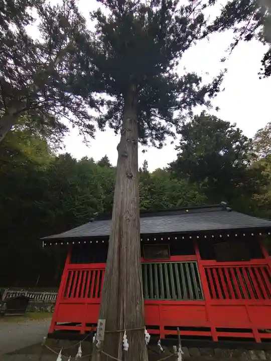 鎮神社(長野県)