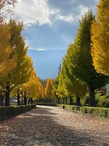 若宮八幡宮(山梨県)