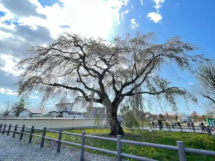 法亀寺(北海道)