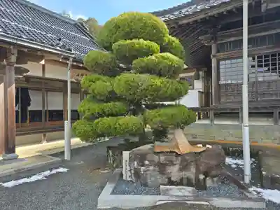 法輪寺(岡山県)