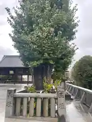 石清尾八幡宮(香川県)