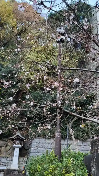 日枝神社のその他建物