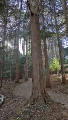 御蔭神社(京都府)