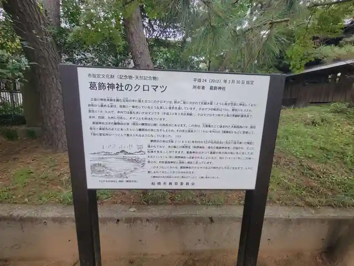 葛飾神社(千葉県)