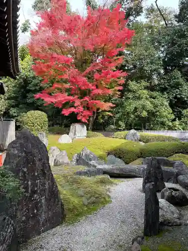 御寺 泉涌寺の庭園