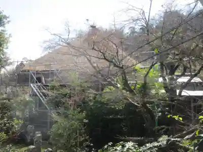 願成就院(静岡県)