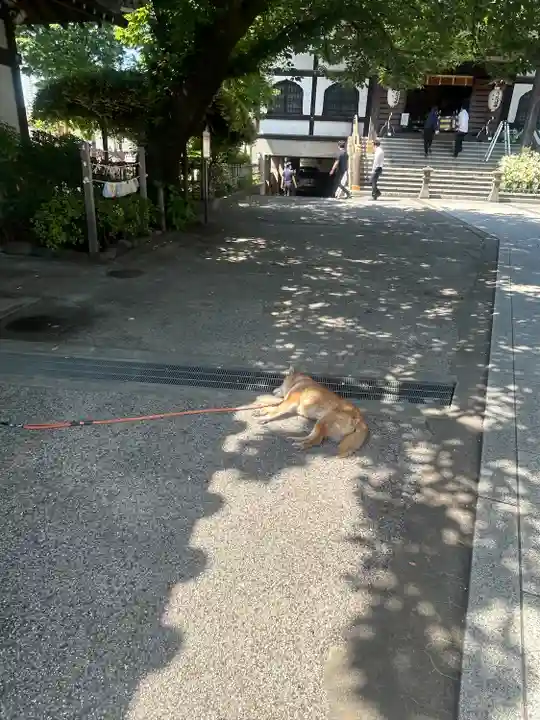 感通寺(東京都)