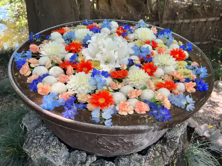 武蔵一宮氷川神社(埼玉県)