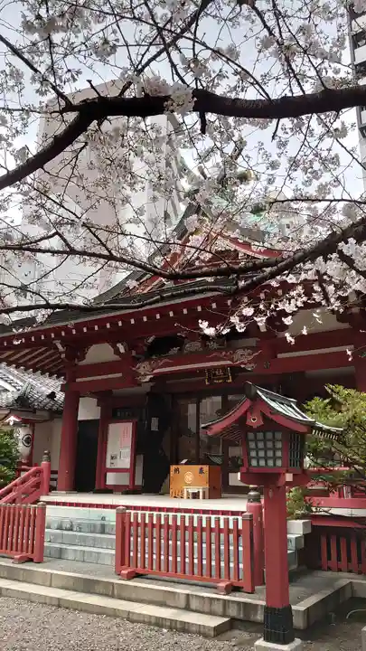 秋葉神社の本殿・本堂
