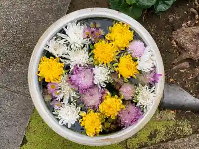 常在寺(東京都)