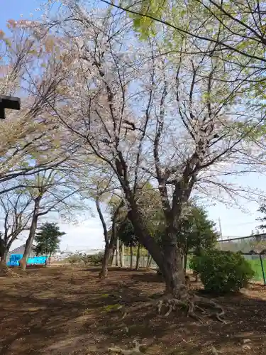 子聖神社(神奈川県)