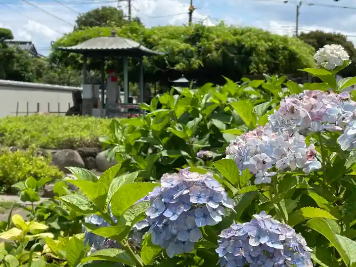 南蔵院(東京都)